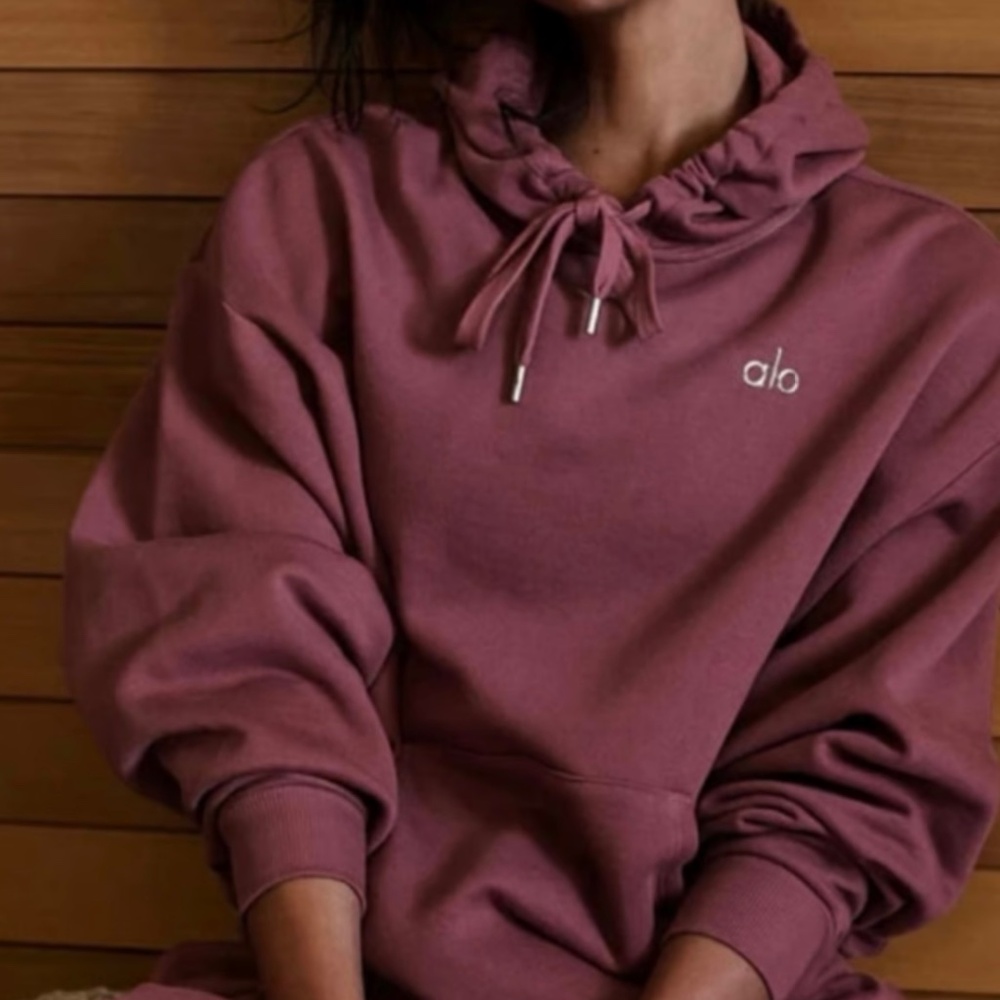 NWT ALO Accolade Hoodie SOLD OUT Burgundy Truffle XS